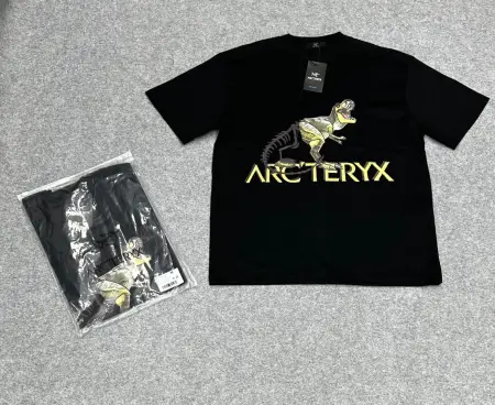 REMERA ARCTERYX